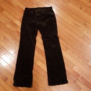 Black velour Jean's